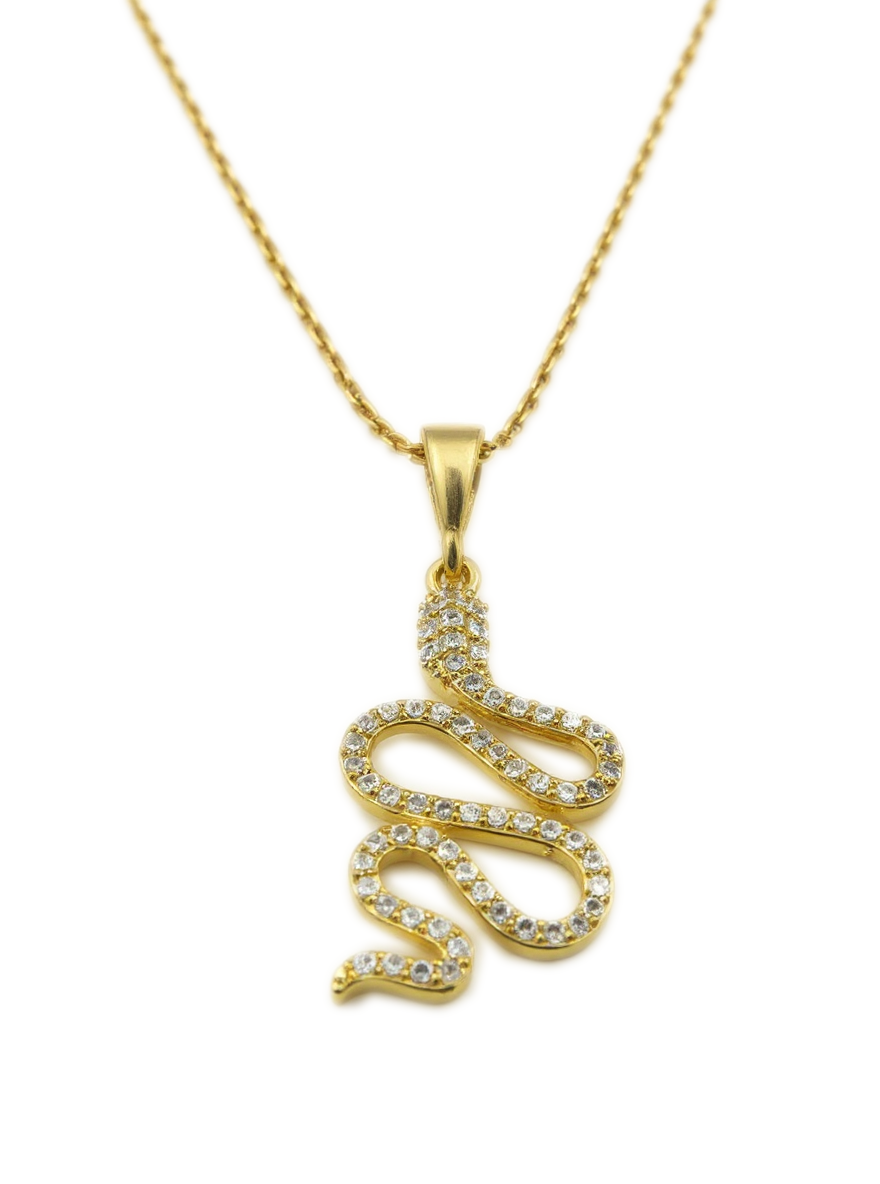 Snake Pendant & Chain Set (Silver)